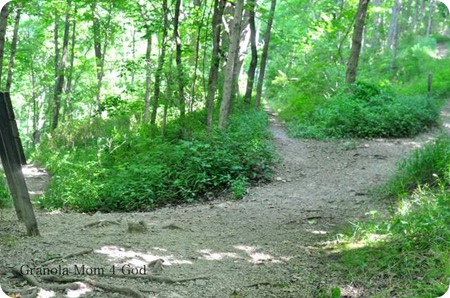 Clifty Falls diverged