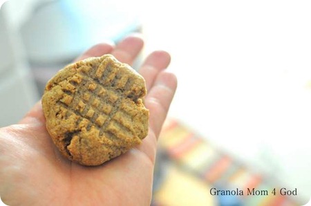 peanut butter cookie