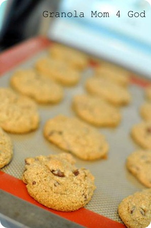 sprouted chocolate chip cookies