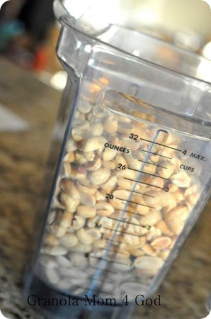vitamix jar filled with peanuts