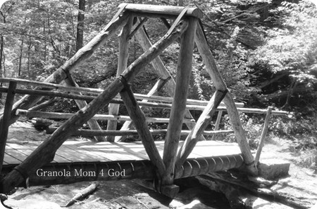 wood bridge