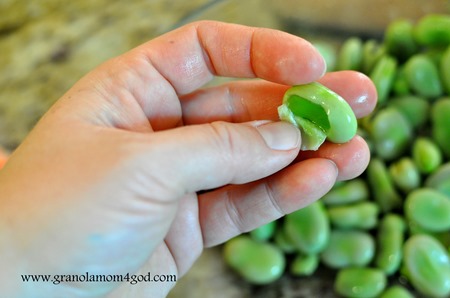 peel fava bean outer layer