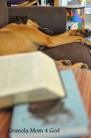 quiet time on the couch