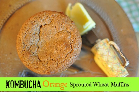 kombucha orange sprouted muffins