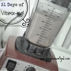 31 days of vitamix-ing 250