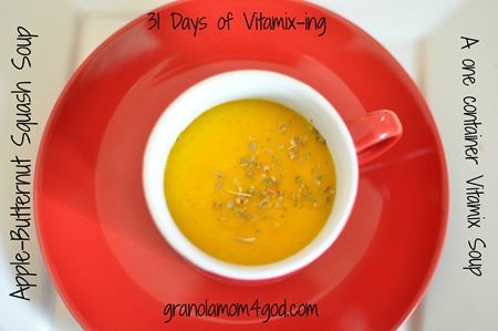 Vitamix butternut squash soup