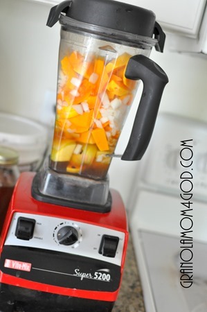 vitamix ingredients butternut squash