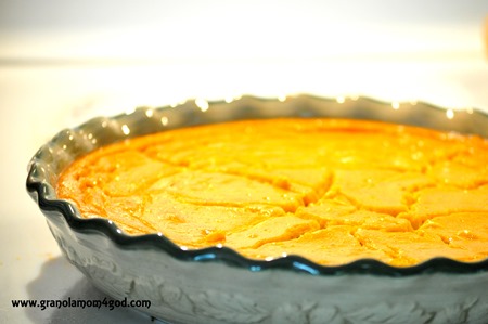 baked vitamix pumpkin pie