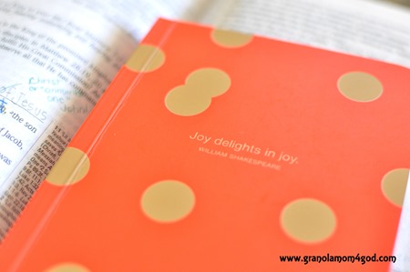 joy journal write the word