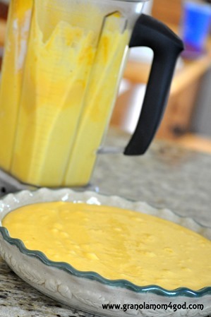 pumpkin pie puree in Vitamix with pie pan