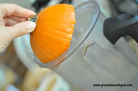 putting pumpkin pulp in Vitamix
