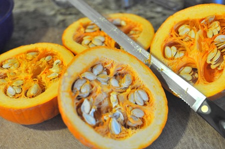 readying pumpkins for Vitamix pumpkin pie