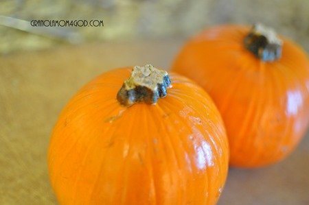 vitamix pumpkin pie