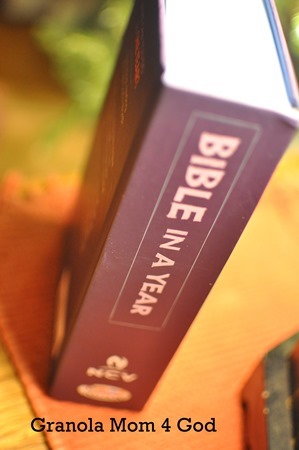 Bible in a year vertical