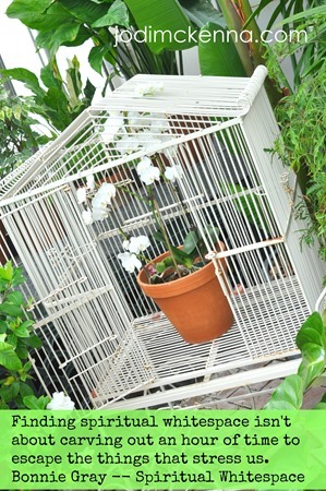 spiritual whitespace flower in cage