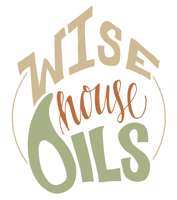 WiseHouse-logo-color-bg (2)