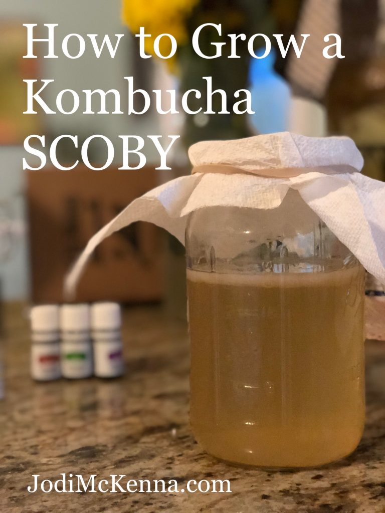 How to Grow Your Own Kombucha SCOBY - My Fermented Foods